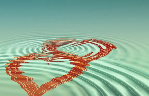 Казино Блек Лейбъл Поддръжка